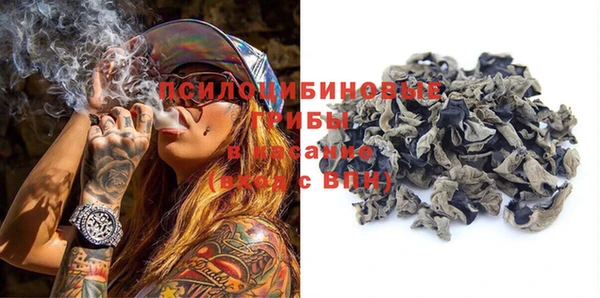 дживик Навашино